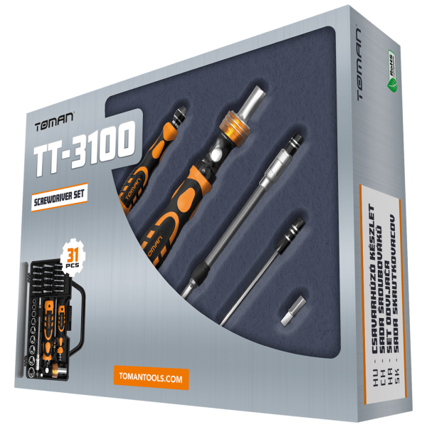 SET ALATA ZA PRECIZNE POPRAVKE 31 KOM TT-3100