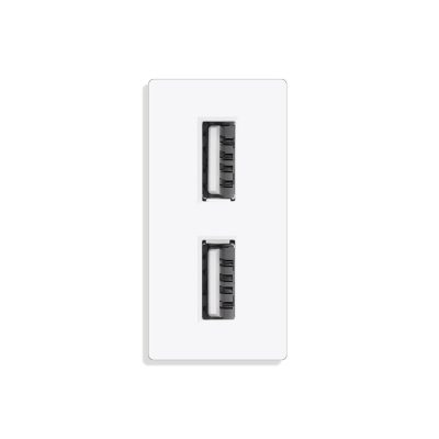 ELEKTRO SMART modul 1/2 brzi punjač 2xUSB A,5V 2.4A